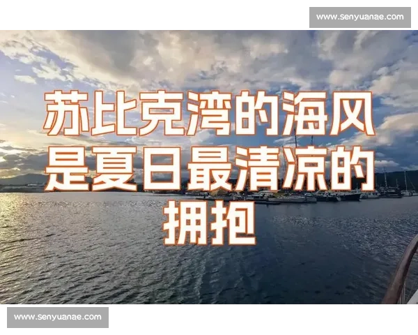 雨幕中的泳者:拥抱自然的清凉仪式